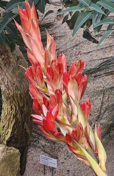 Foto z FB Botanická zahrada